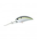 American Shad