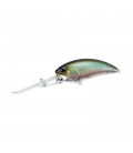 Ghost Minnow