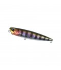 Prism Gill