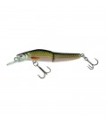 Tennesse Shad