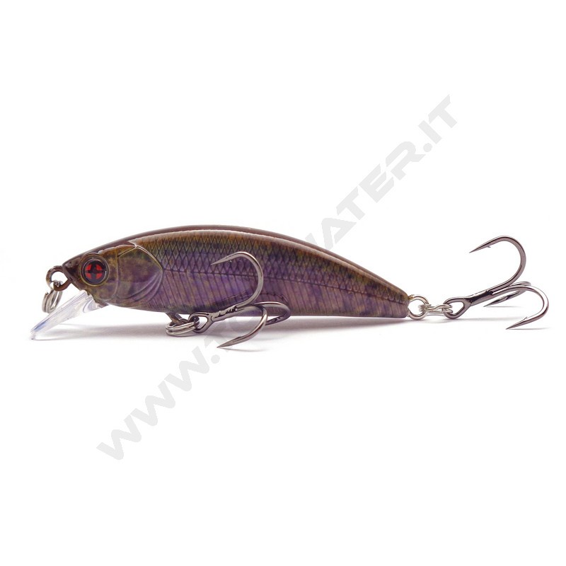 Sakura Phoxy Minnow HW