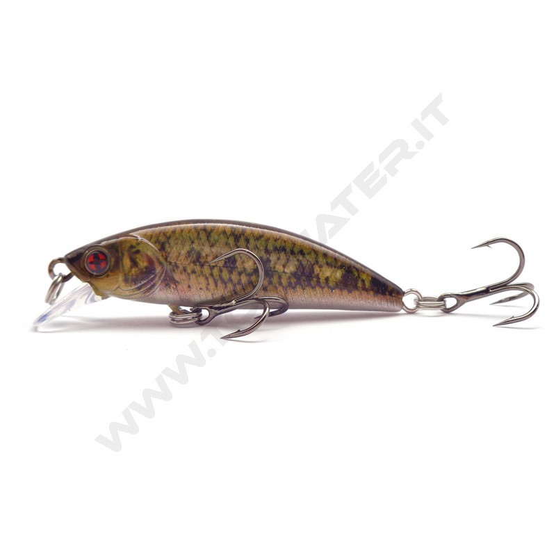 Sakura Phoxy Minnow HW