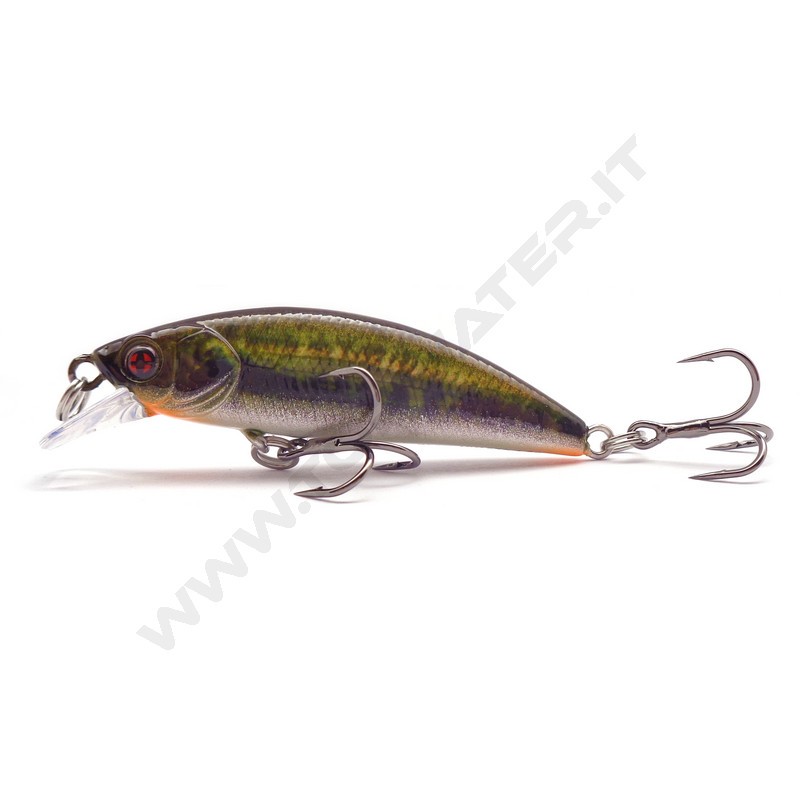 Sakura Phoxy Minnow HW