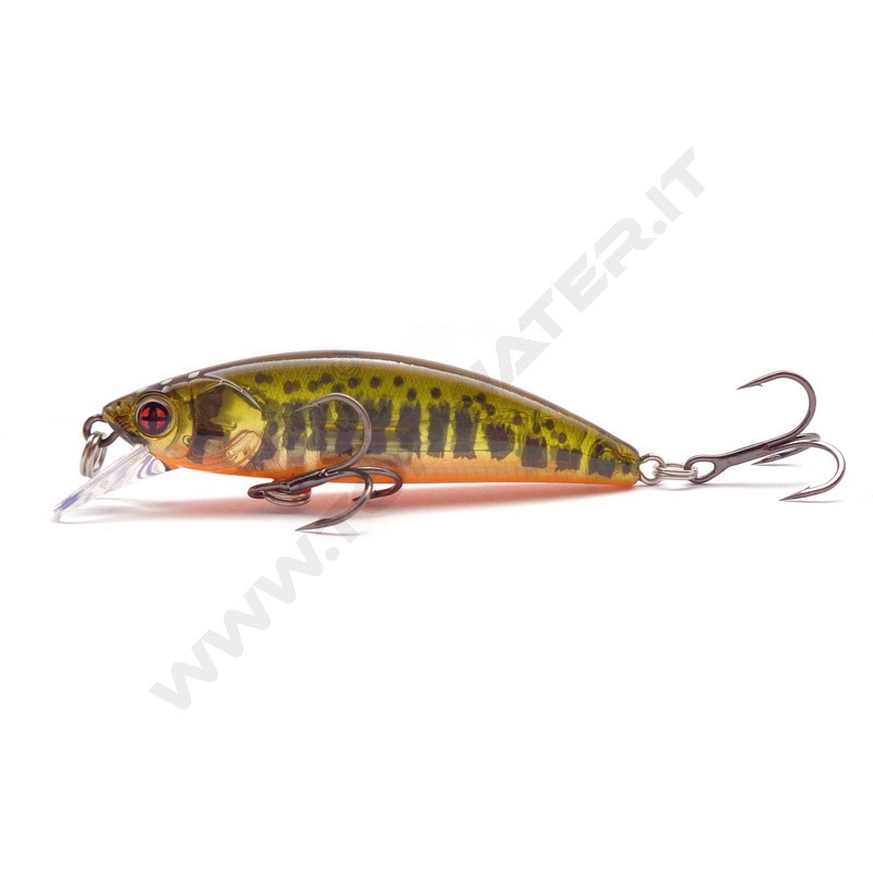 Sakura Phoxy Minnow HW
