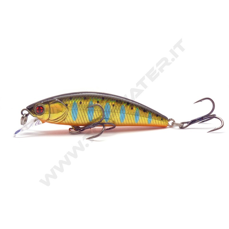 Sakura Phoxy Minnow HW