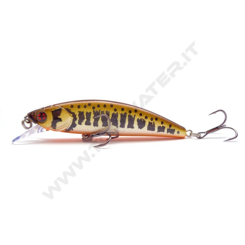 Sakura Phoxy Minnow HW