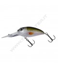 MX Tennessee Shad