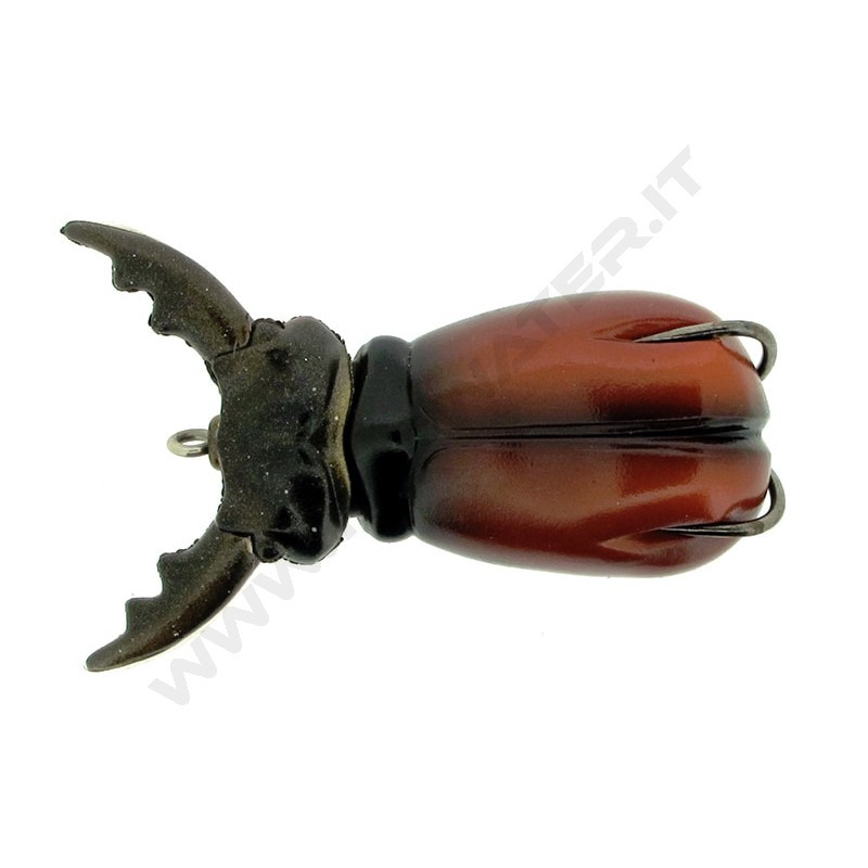 Molix Supernato Beetle