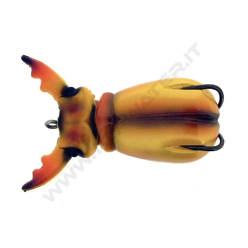 Molix Supernato Beetle