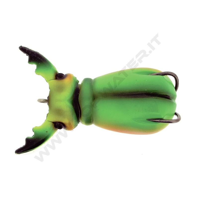 Molix Supernato Beetle