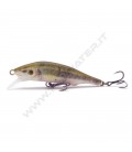 Male Minnow
