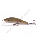 Barbel