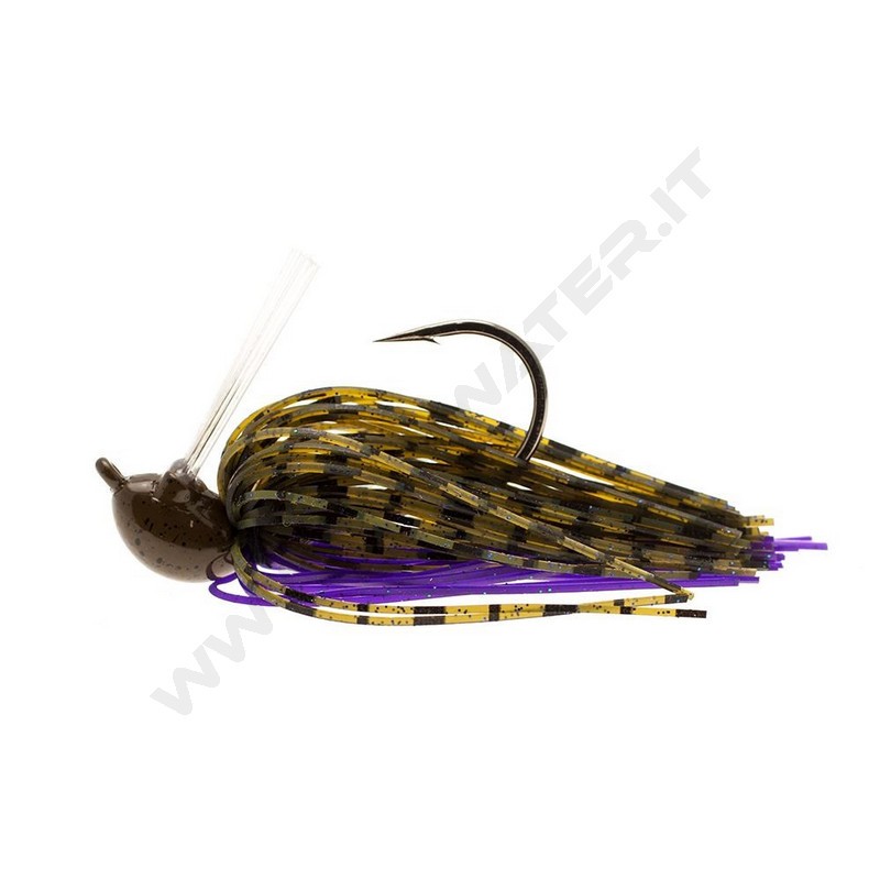 Legio Aurea Genius Scipionis Jig