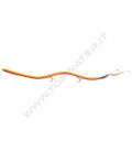 Orange Fluo