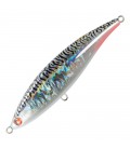 White Mackerel