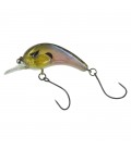 Lugano Shad