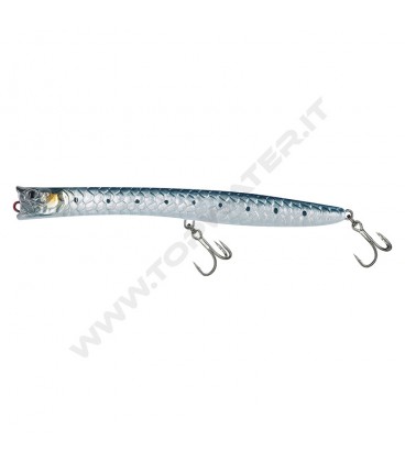 Sardine