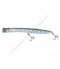 Sardine