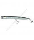 Tarpon