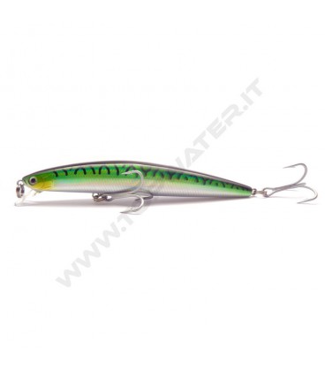 Green Mackerel