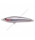 Anchovy