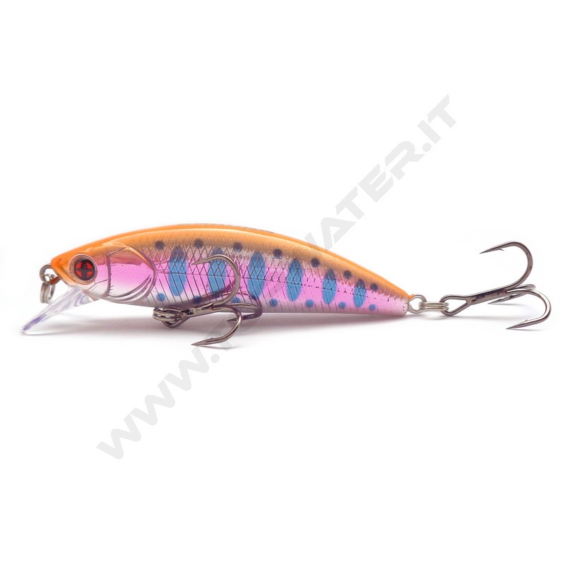 Sakura Phoxy Minnow HW
