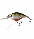 Perch