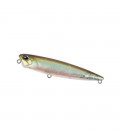 Ghost Minnow