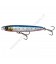 Pink Belly Sardine