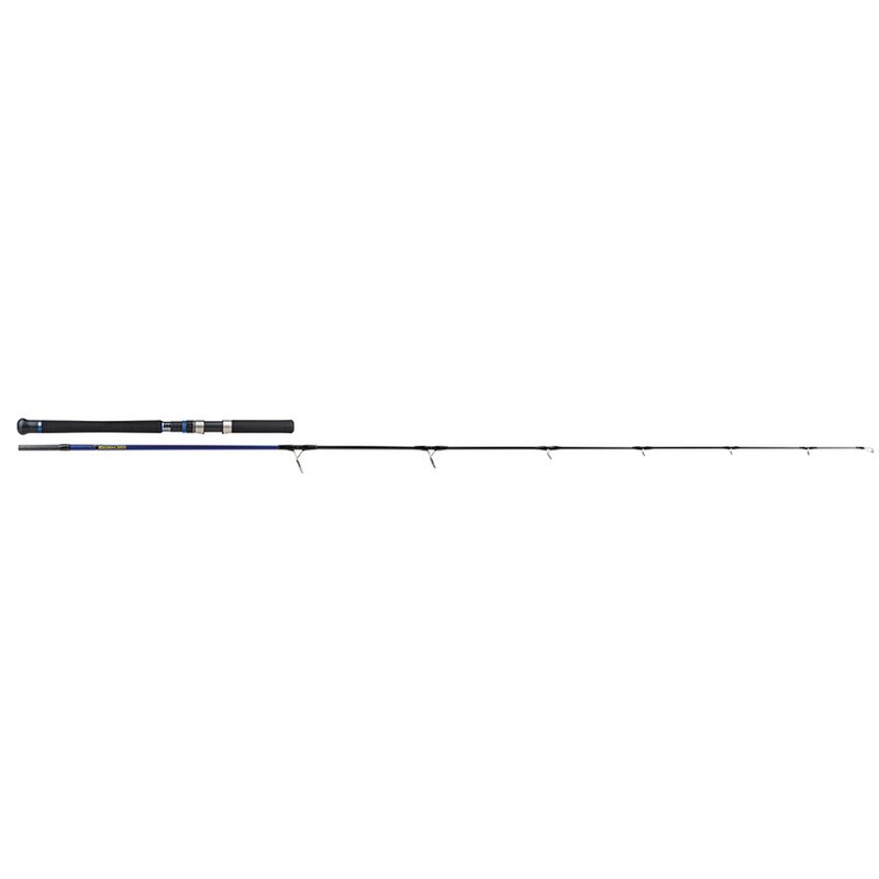 Molix Skirmjan R Saltwater offset handle rod