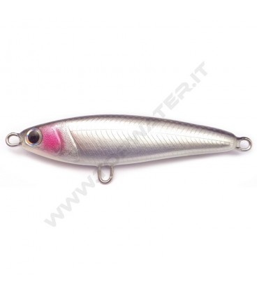 Anchovy
