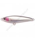 Anchovy