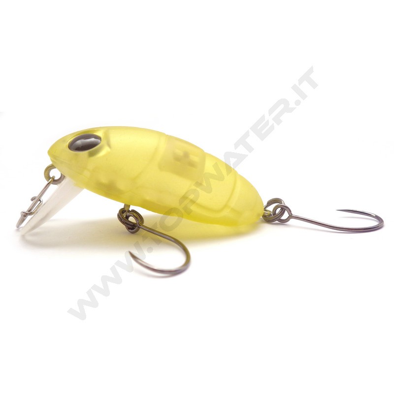 Nories Boss Pupa Shallow