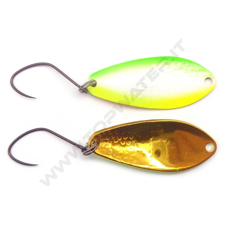 Antem Dohna Italy Limited 2022