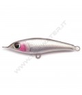 Anchovy
