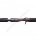 Shimano SLX Casting Rod