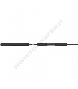 Abu Garcia Beast Pike Spinning rods