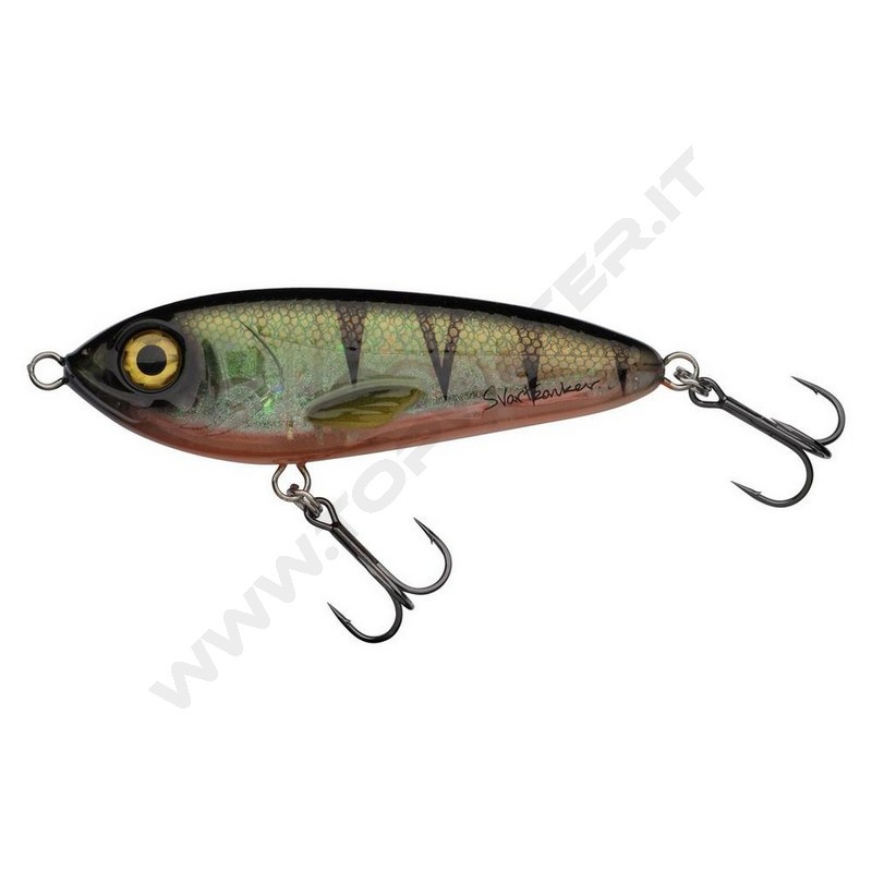 Abu Garcia Svartzonker McTracer