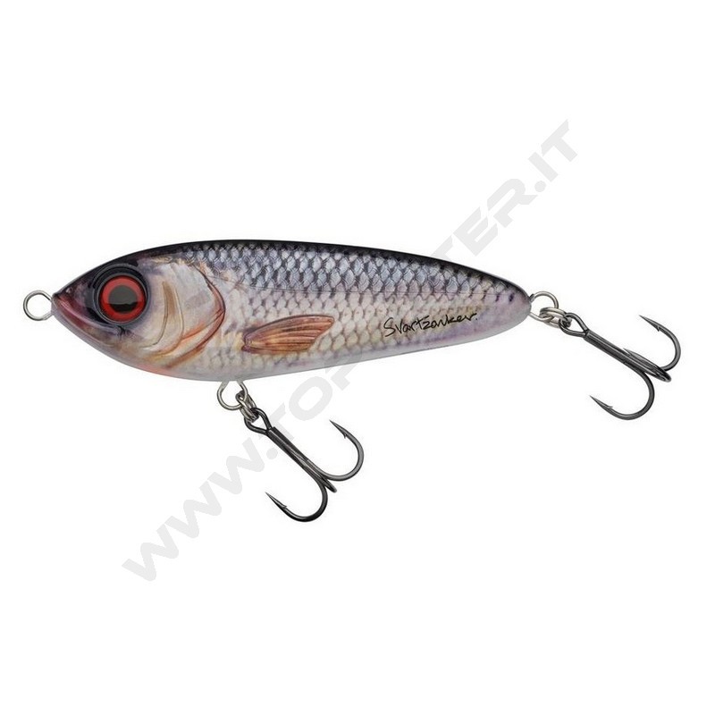 Abu Garcia Svartzonker McTracer