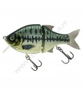 Baby Bass