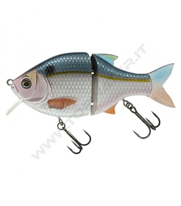 Threadfin Shad