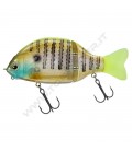 Chart Back Gill
