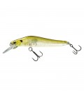 Lugano Shad