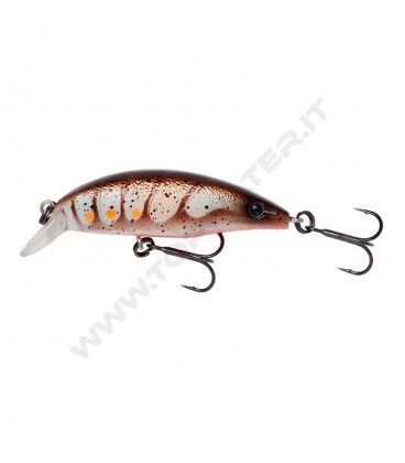 Brown Shrimp