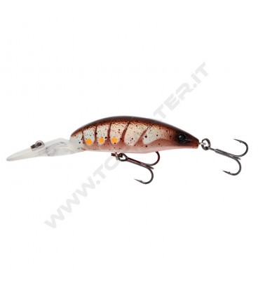 Brown Shrimp