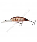 Brown Shrimp