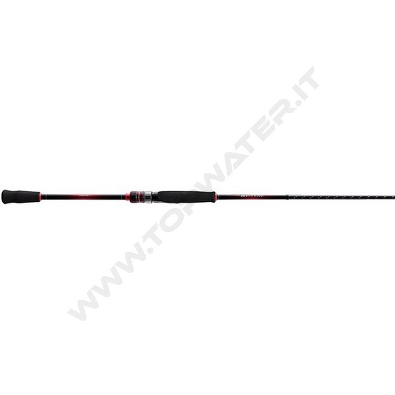 Shimano canna Sephia BB 2022