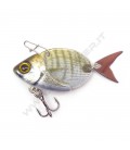 White Seabream