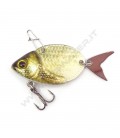 Crucian Carp