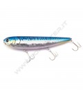 Aurora Mackerel